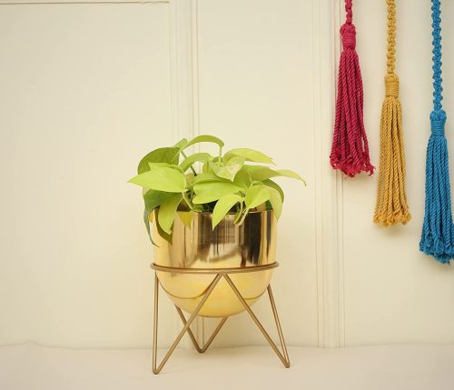 HomeShastra Golden Pot for table decor 
